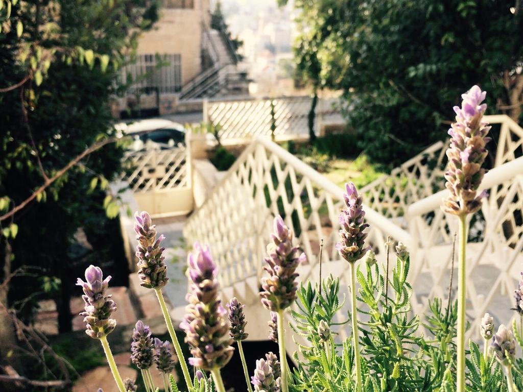 Lavender Boutique Hotel Рамалла Экстерьер фото